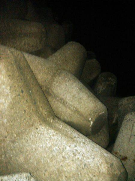 赤い彗星のシャー　